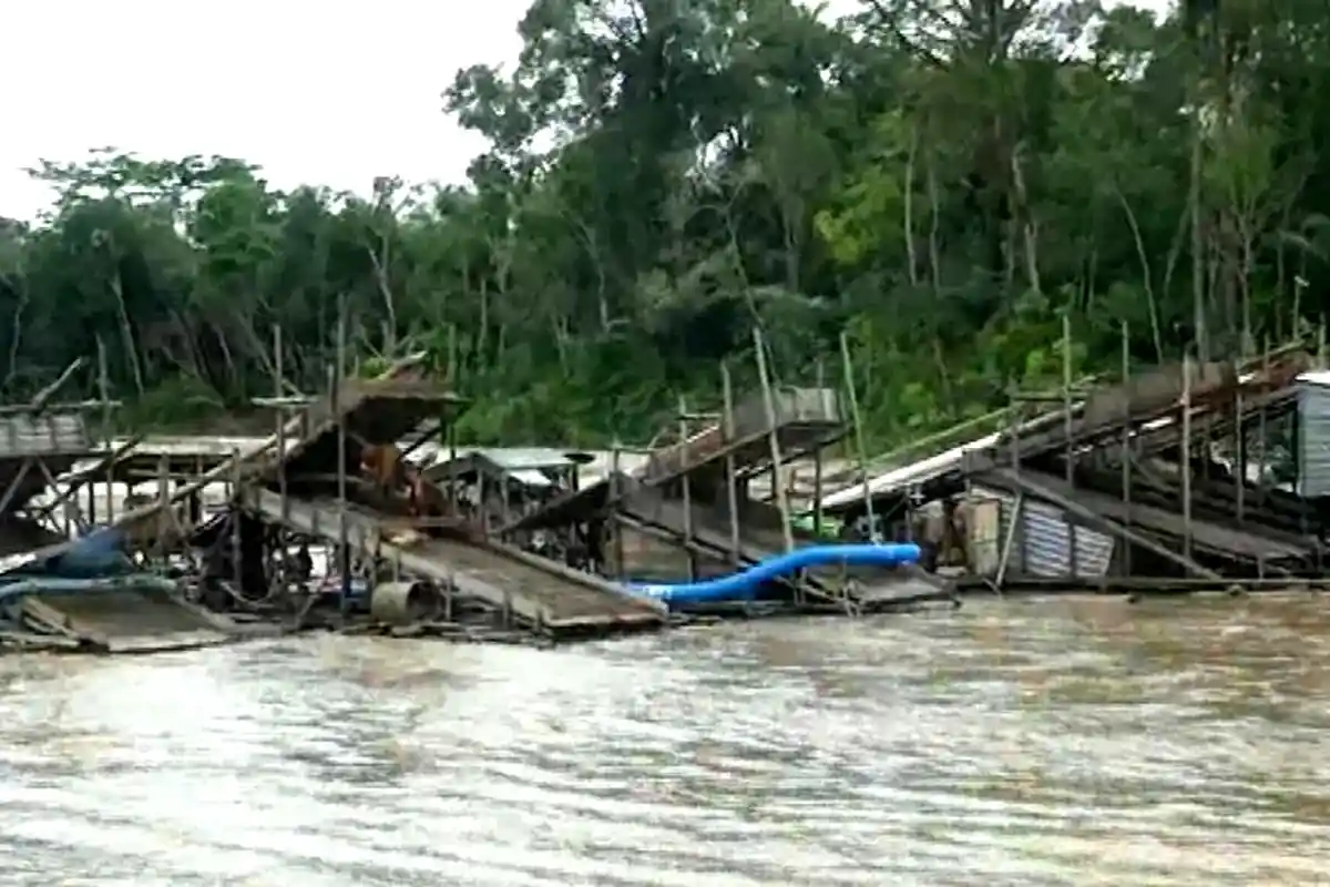 Warga Keluhkan Maraknya Aktifitas Illegal Logging dan PETI di Hulu Sungai