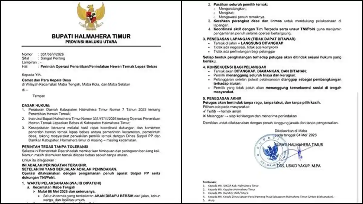 Bupati Halmahera Timur Instruksikan Penertiban Hewan Ternak di 3 Kecamatan