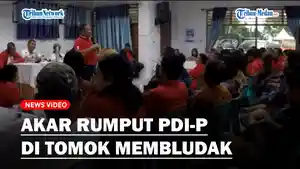 Akar-rumput-di-Desa-Tomok-Kecamatan-Simanindo.jpg