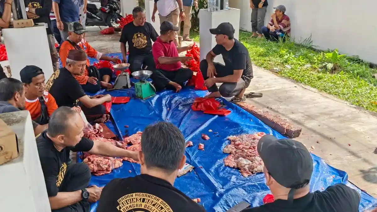 Bakuda Babel Sembelih Dua Ekor Sapi, Haris Pastikan Daging Disalurkan ke Masyarakat Sekitar