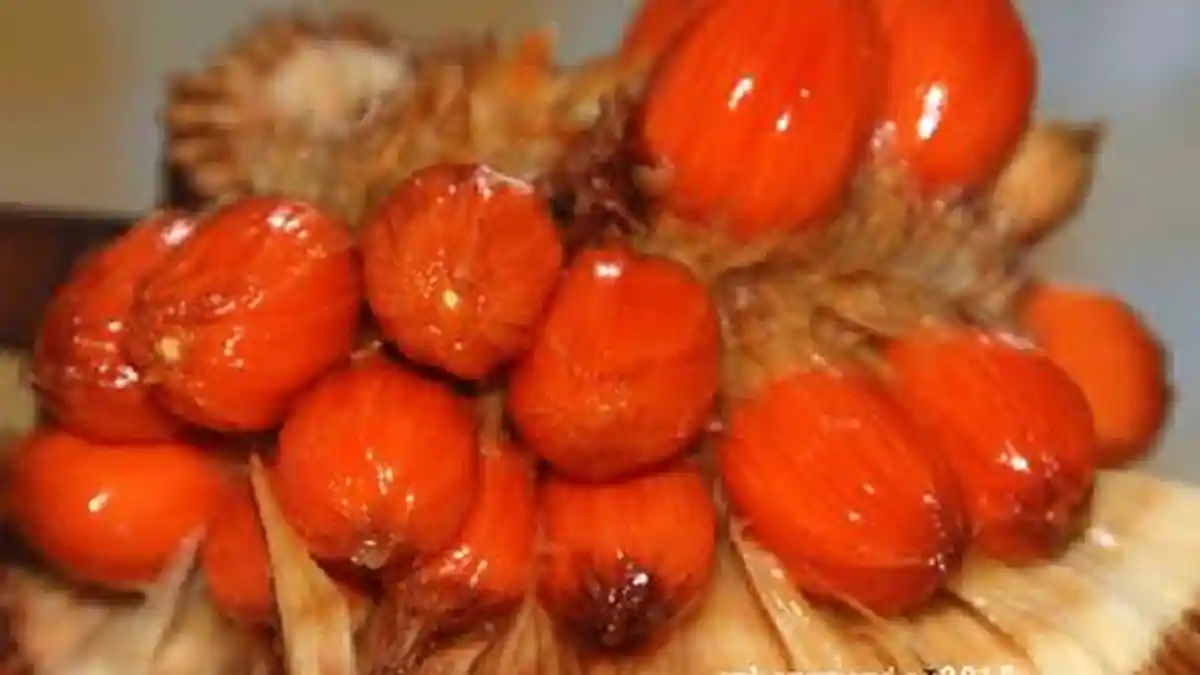 Keledang, Buah Asli Hutan Kalimantan yang Mulai Langka