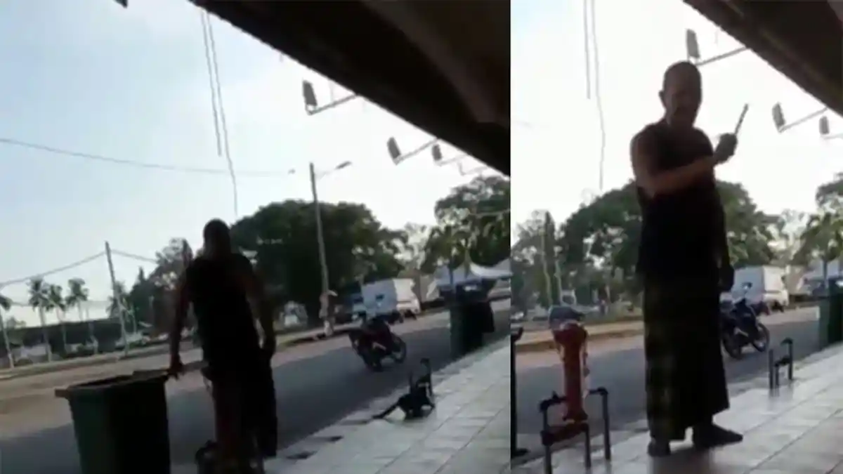 Viral Video Seorang Pria Tendang Kucing hingga Tersungkur, Organisasi Pecinta Hewan Bertindak