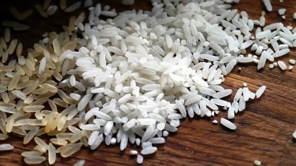 Mendagri Suruh Kepala Daerah Bikin Sawah Baru Antisipasi Harga Beras yang Mulai Naik