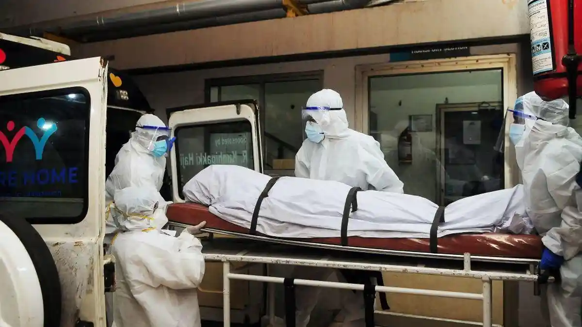 Apakah virus Nipah sudah ada di Indonesia, dan perlukah kita khawatir?