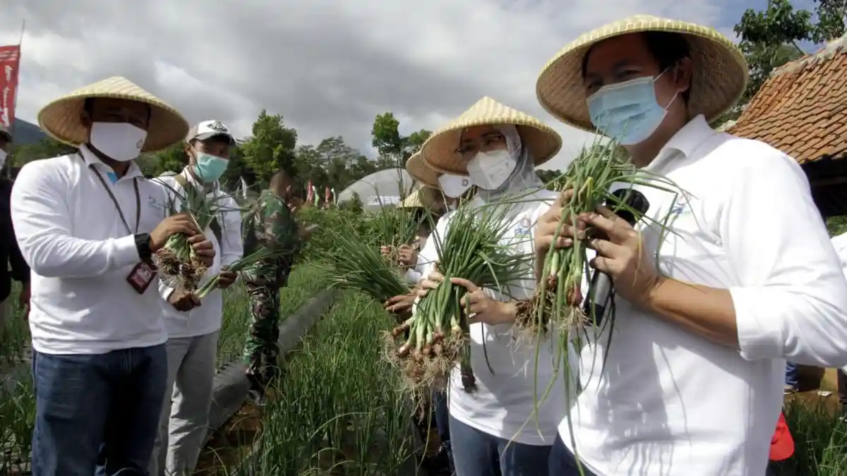 Masyarakat Diajak Tingkatkan Konsumsi Sayuran di Tengah Pandemi