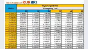 KUR-BRI-Tabel-Angsuran-KUR-BRI-2025-Rp-20-Juta-hingga-Rp-100oo.jpg