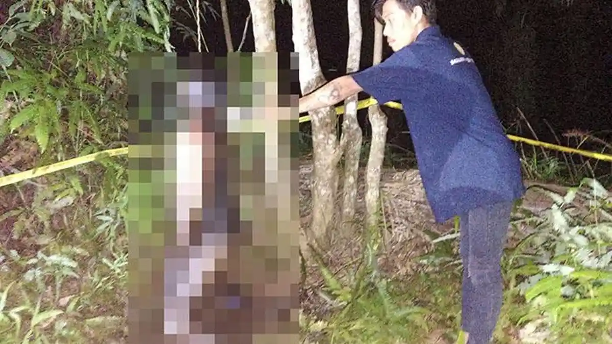 Pria di Langkat Ditemukan Membusuk Tergantung di Pohon, Sempat Dicari Istri Usai Tak Pulang ke Rumah