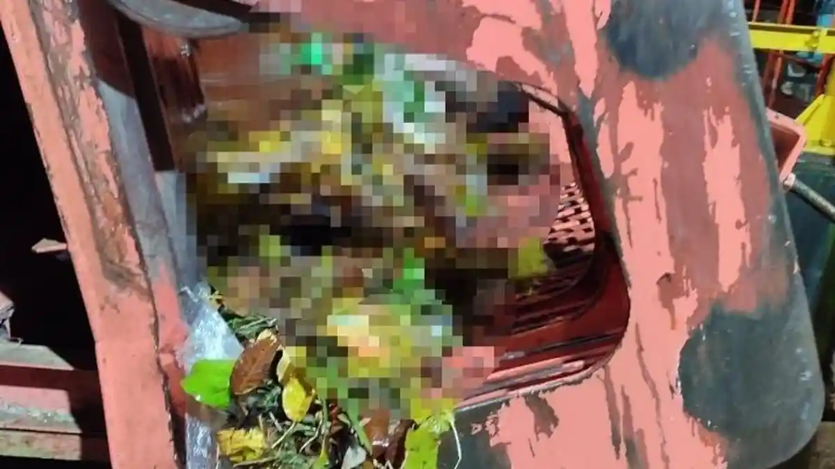Breaking News: Geger, Penemuan Mayat Tersangkut di PLTA Tes Lebong Bengkulu