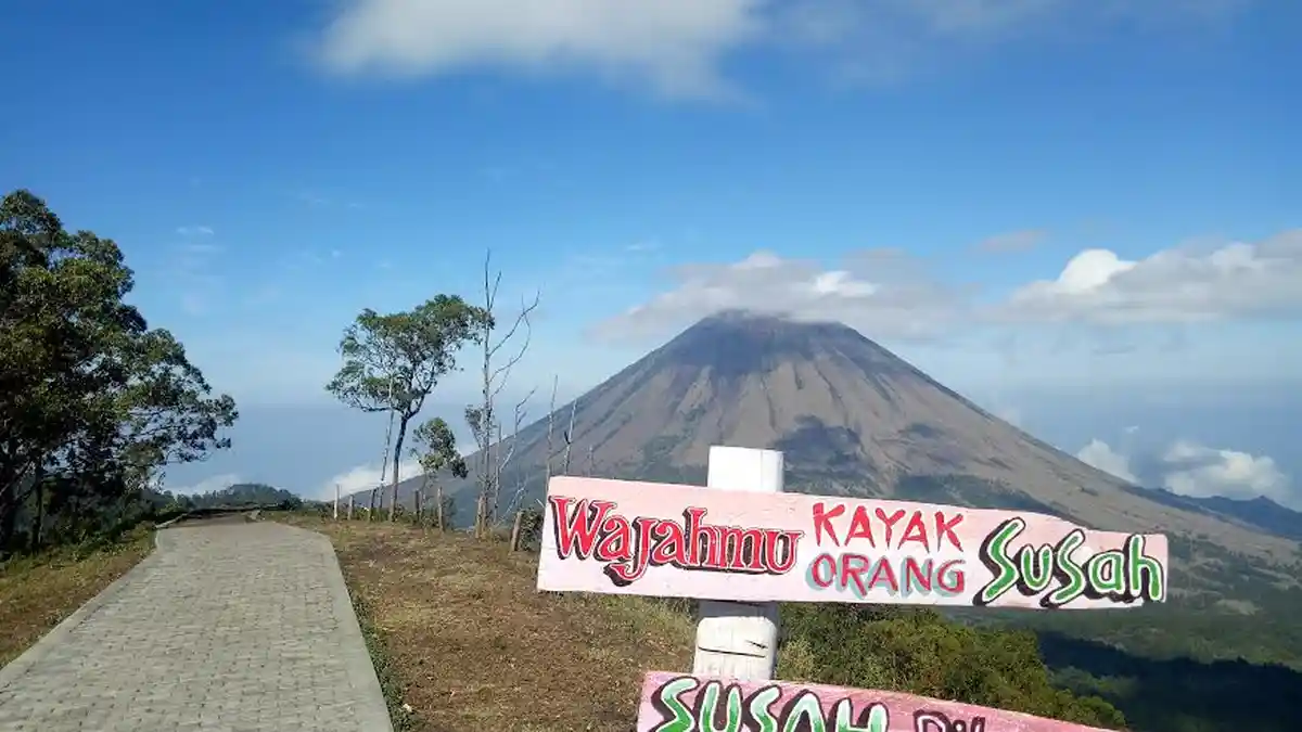 TRIBUN WIKKI : Menikmati Pesona Gunung Inerie Dari Puncak Bukit Wolobobo di Ngada