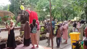 Gajah-KBS.jpg