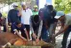 Kemenag-Bengkulu-sembelih-17-hewan-kurban.jpg
