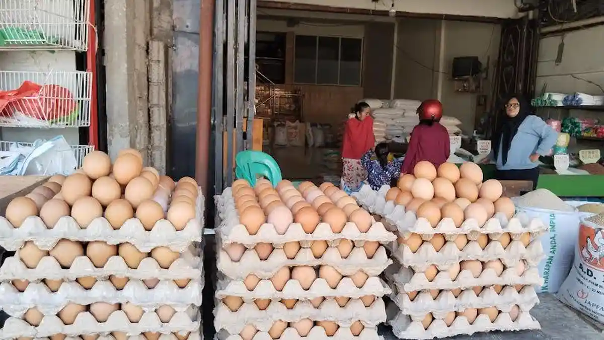 Jelang Ramadhan 2024, Harga Telur Tembus Rp 70 Ribu Per Rak di Pasar ...
