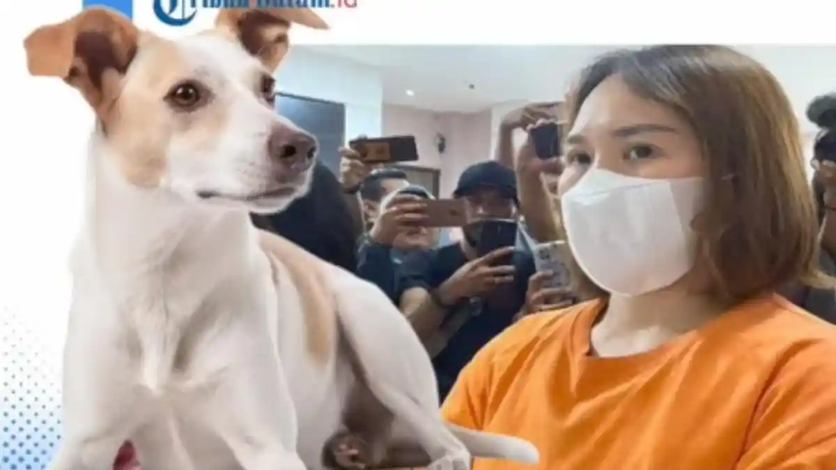 Fakta Lain Intan ART Dipaksa Makan Kotoran Anjing, Tak Digaji Setahun