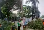 Antisipasi Cuaca, Sudin Tamhut Jaktim Pangkas Pohon Rawan Tumbang di Pasar Rebo