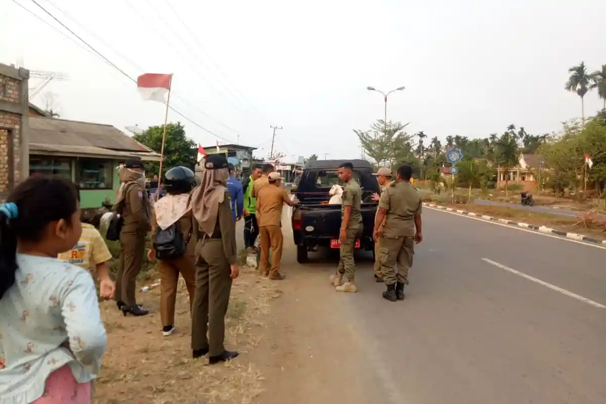 Hewan Ternak 'Jalan-jalan' di Jalan Lintas, Lurah: Saat Ini Warga Sudah Mulai Sadar