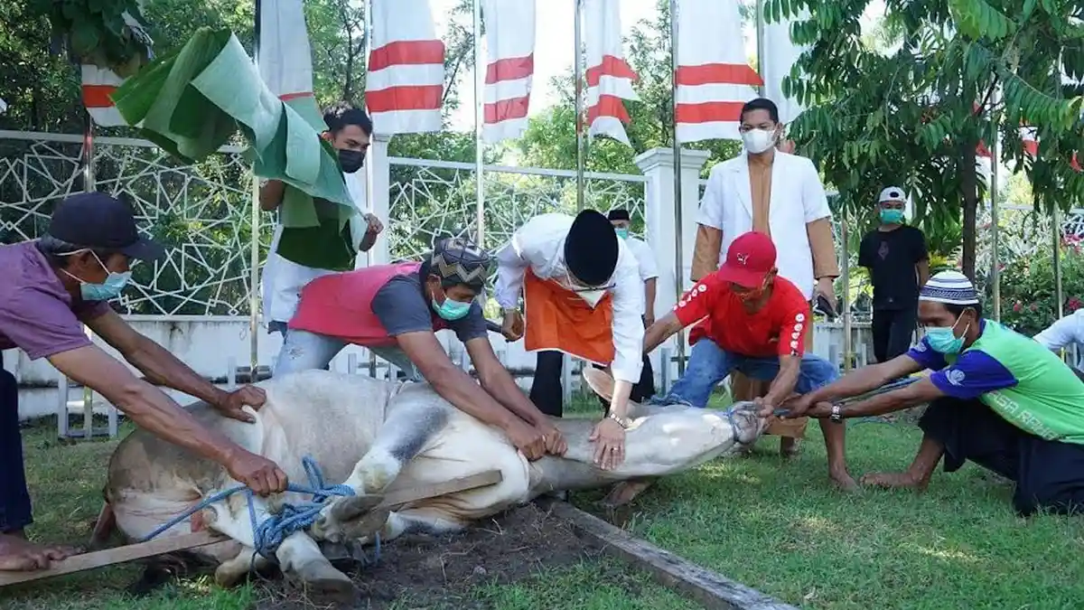 Cegah Penyebaran Covid-19, Panitia Kurban Golkar Sulsel Antar Daging ke Rumah Warga