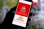 Red-Notice.jpg