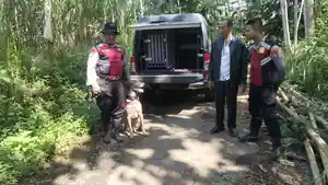 OLAH-TKP-Tim-K9-melacak-keberadaan-sapi-korban-di-Desa-Tegalbangsri-Kecamatan.jpg