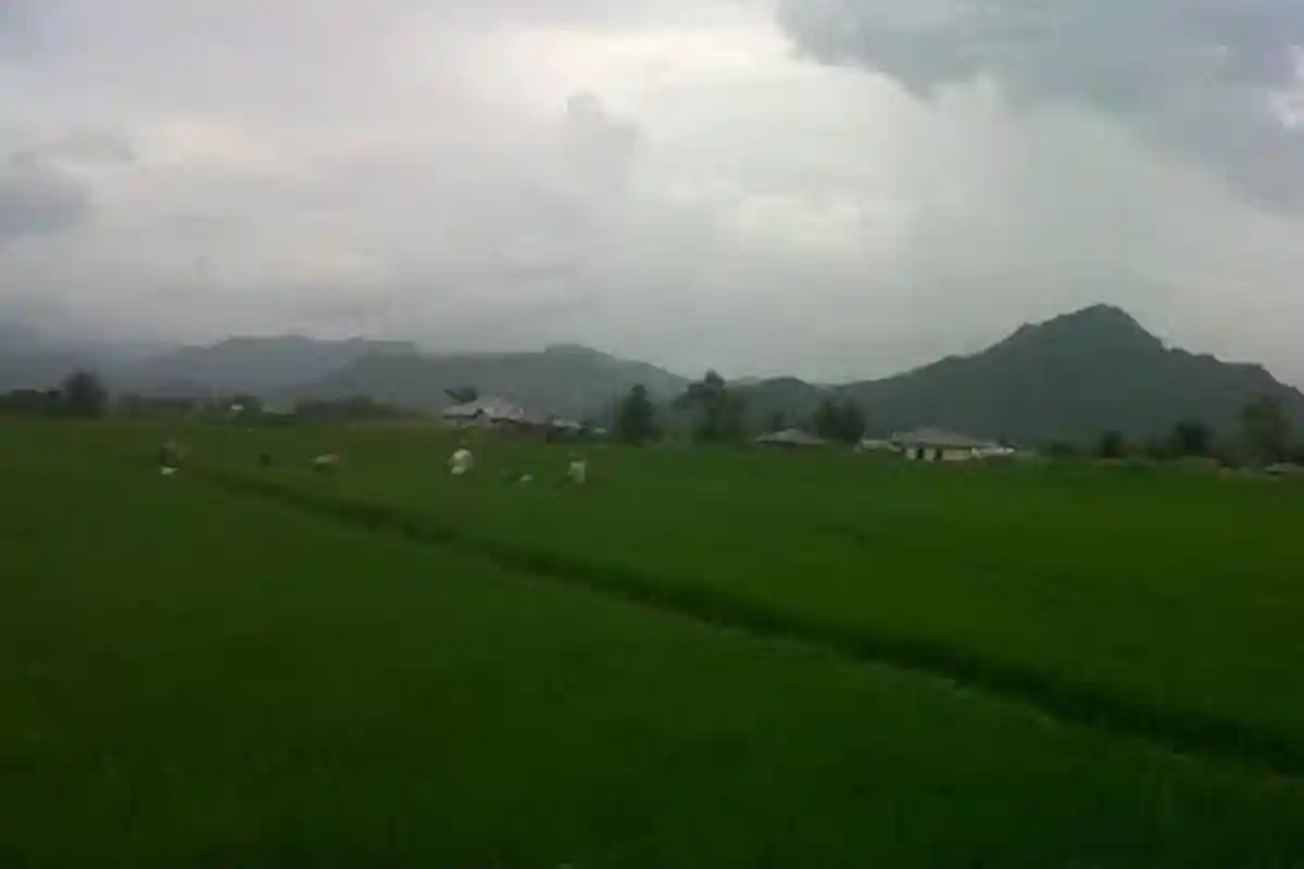 8 Daerah di NTT Berpotensi Terjadi Hujan Lokal Hari Ini, Yuk Simak Penjelasannya!