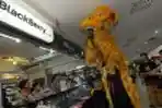 Barongsai Vihara Eka Dharma di Mal Lembuswana