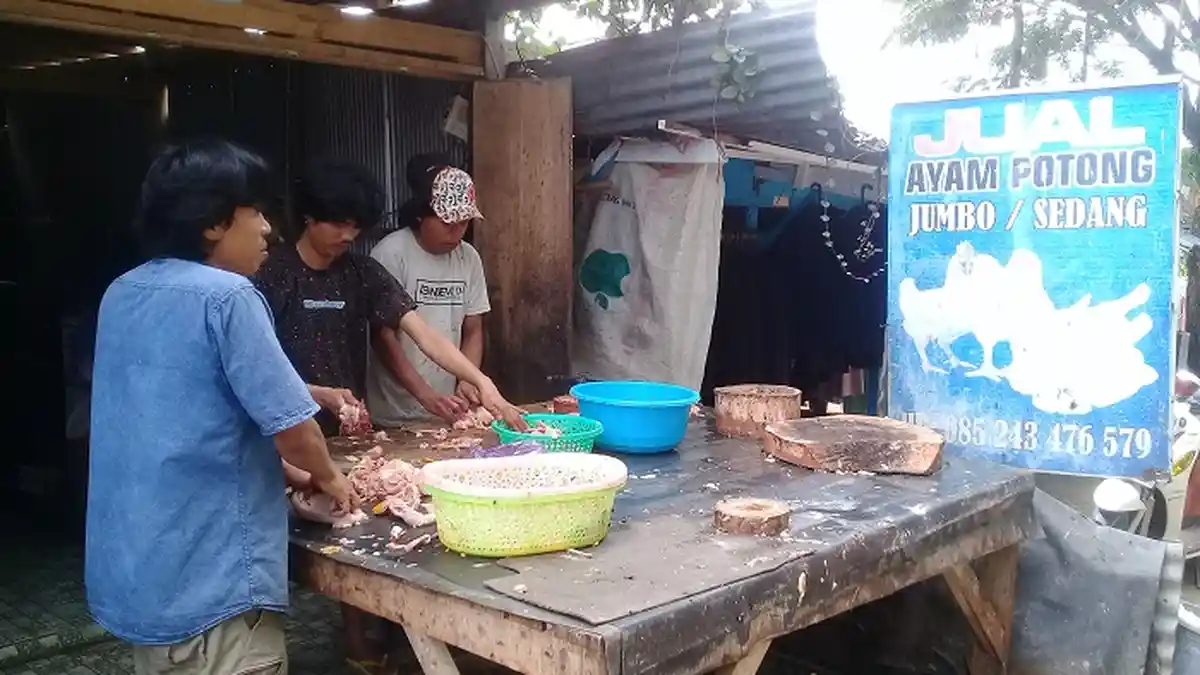 Harga Daging Ayam & Telur Alami Kenaikan di Pasar Tradisional Sinjai, Berikut Daftar Harganya