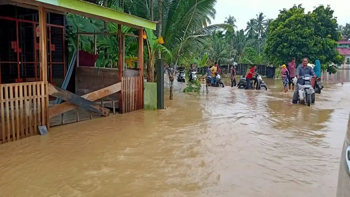 Banjir Lima Kecamatan di Pidie Diterjang Banjir Luapan, Ratusan Rumah Terendam