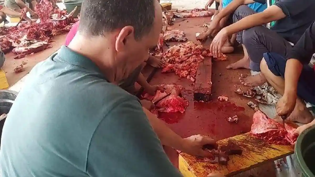 WNA Asal Kanada Ini Ikut Potong Daging Hewan Kurban di Depok, Martin Merasa Ini Hal Baik