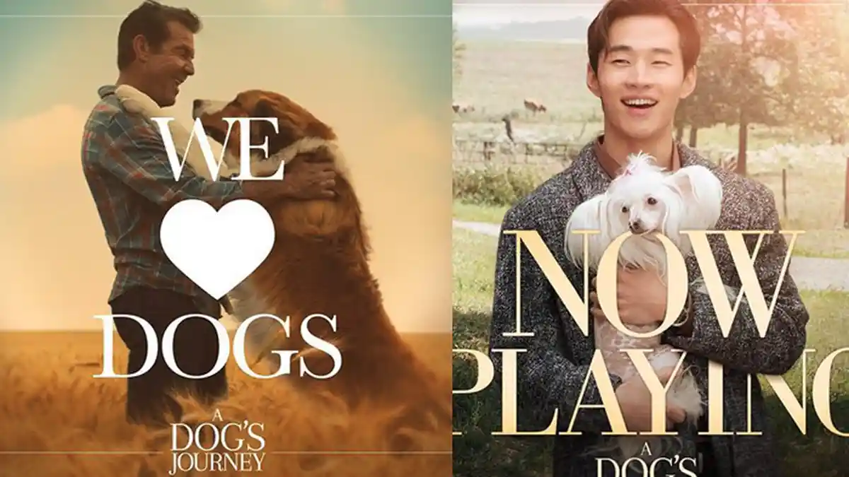 Sinopsis Film A Dog's Purpose, Tayang Mulai 10 Juli 2019, Tentang Persahabatan Ethan dan Anjingnya