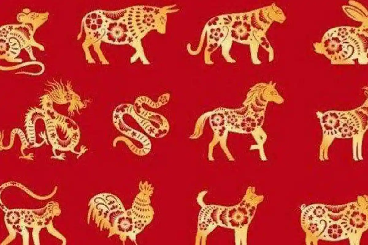 Ramalan Shio Lusa Kamis 23 Juni 2022, Kenalan Baru Shio Tikus & Tetap Rendah Hati Shio Kelinci