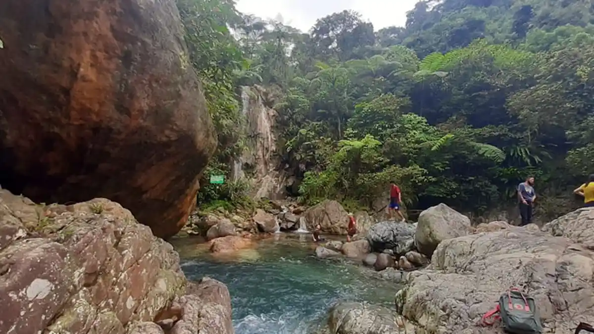 Ide Liburan Akhir Pekan: Ini 10 Tempat Wisata di Bogor yang Populer, Hutan Pinus hingga Curug