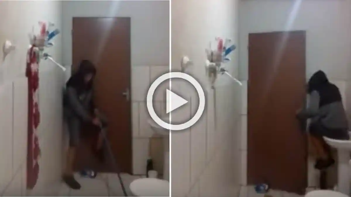 Sudah Ajak Kucing Untuk Tangkap Tikus di Kamar Mandi, Tapi yang Terjadi Malah Bikin Ngakak