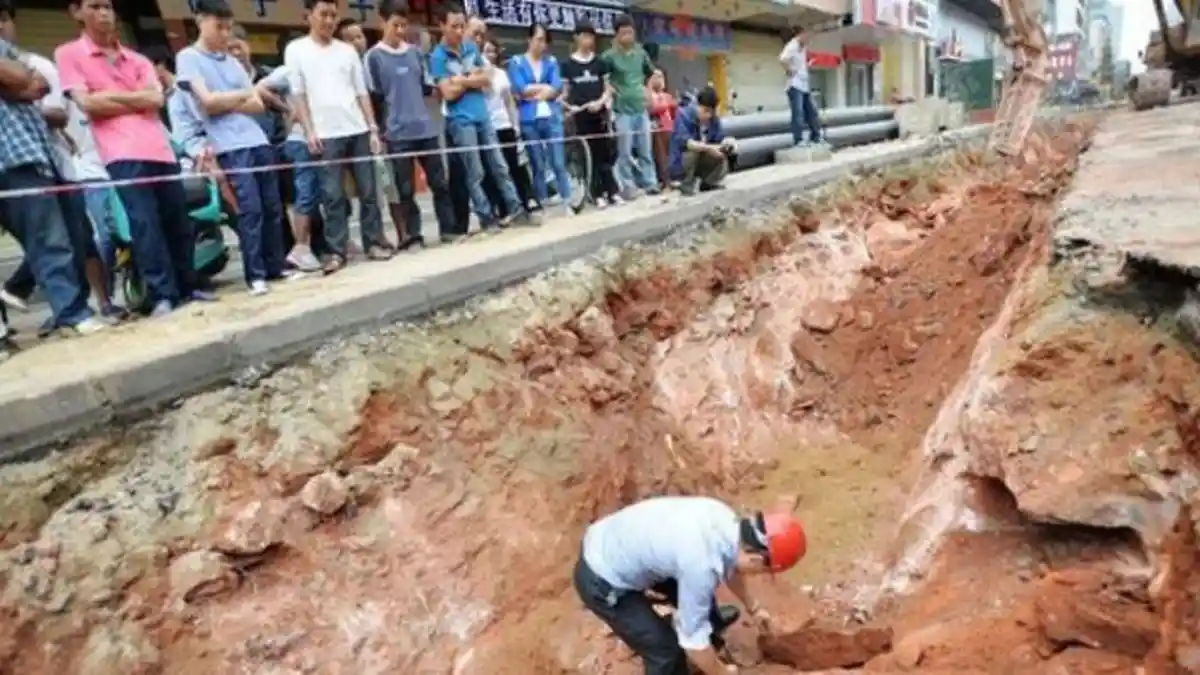 Ditemukan Puluhan Telur Dinosaurus Berusia 230 Juta Tahun