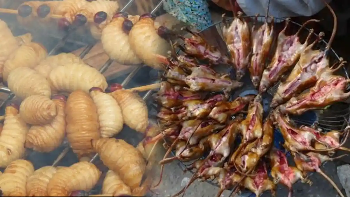 8 Kuliner Ekstrim yang Hanya Ada di Indonesia, Mulai Dari Tokek Goreng ...