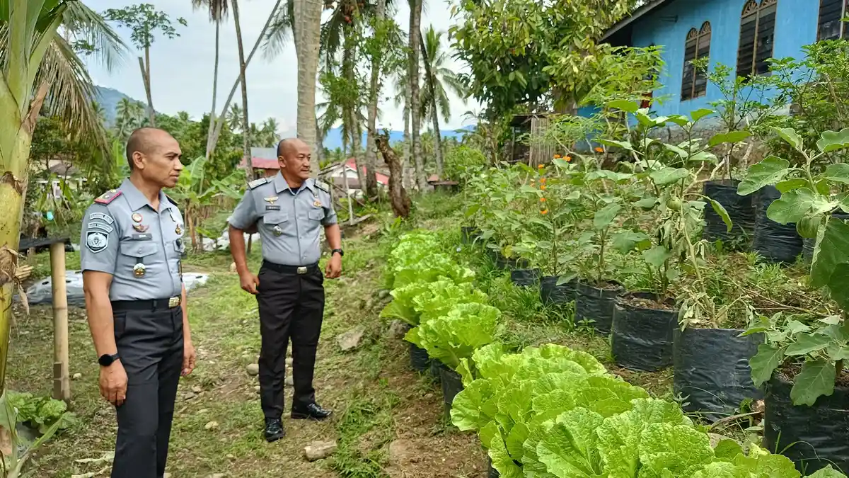 Siap Panen! Kalapas dan Kasubsi Pembinaan Lapas Kotanopan Pantau Langsung Lahan SAE
