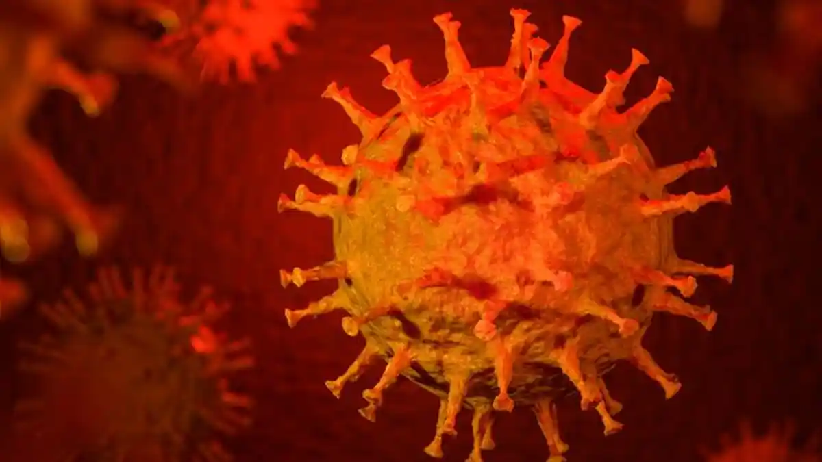 Inilah Penjelasan Ilmuwan, Kenapa Virus Corona Bukan Buatan Manusia