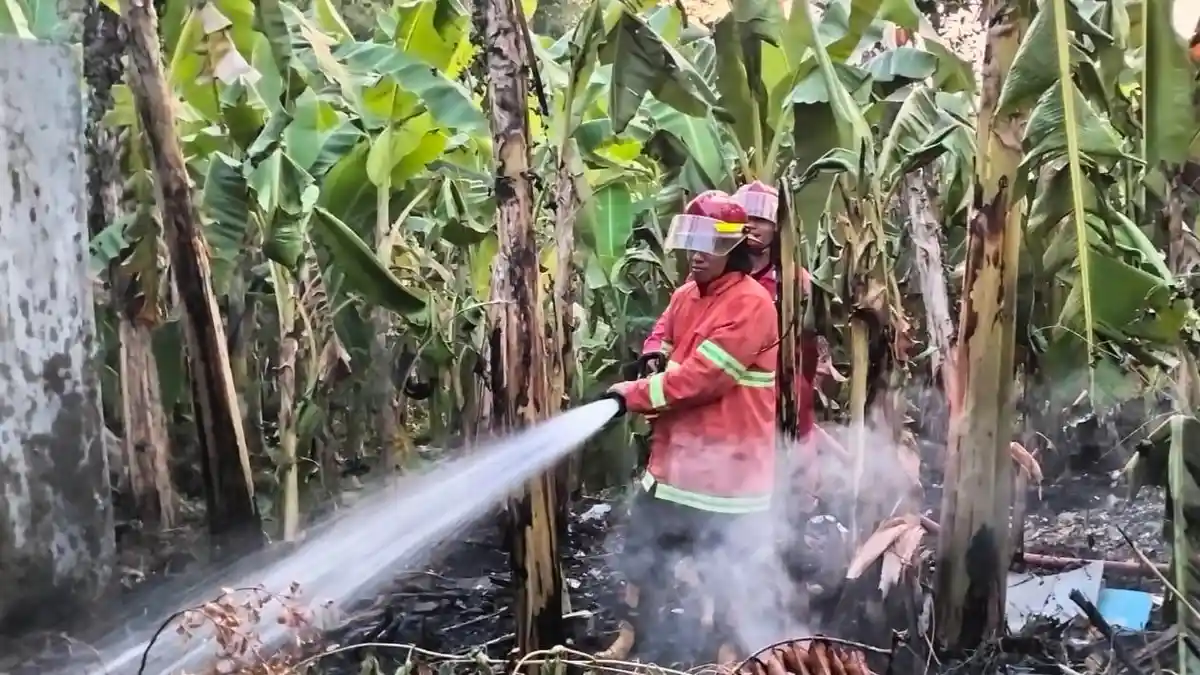 Areal Perkebunan Gunungsimping Cilacap Terbakar, Warga Panik Api Sambar Rumah