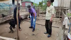 penyakit-kulit-ternak.jpg