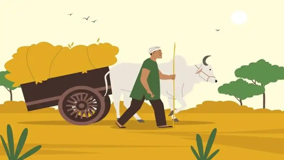 Rincian Alokasi Dana Desa di Kabupaten Natuna dari Pemerintah, Desa Kelarik Utara Dapat Uang Rp 1,2M