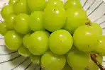 Anggur-Muscat.jpg