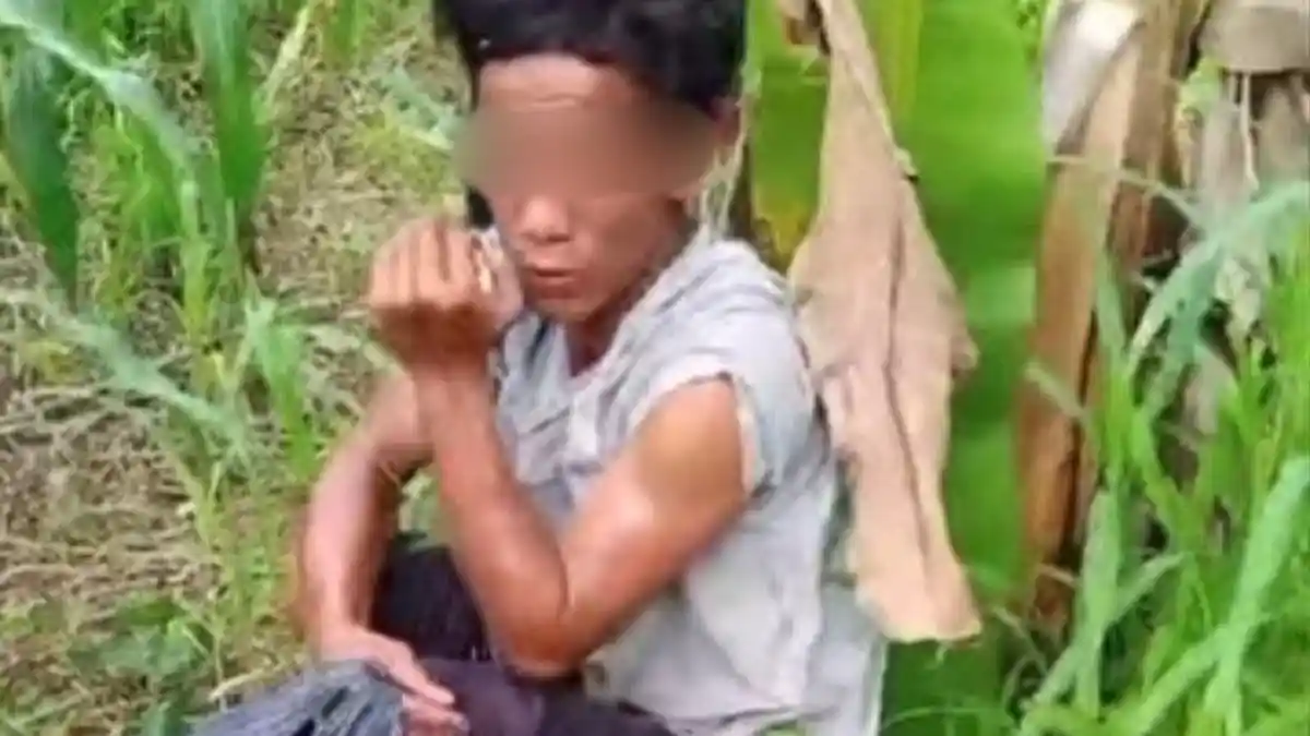 Bejat, Pria Ini Rudapaksa Nenek-nenek di Kebun Jagung di Medan, Aksinya Dipergoki Warga