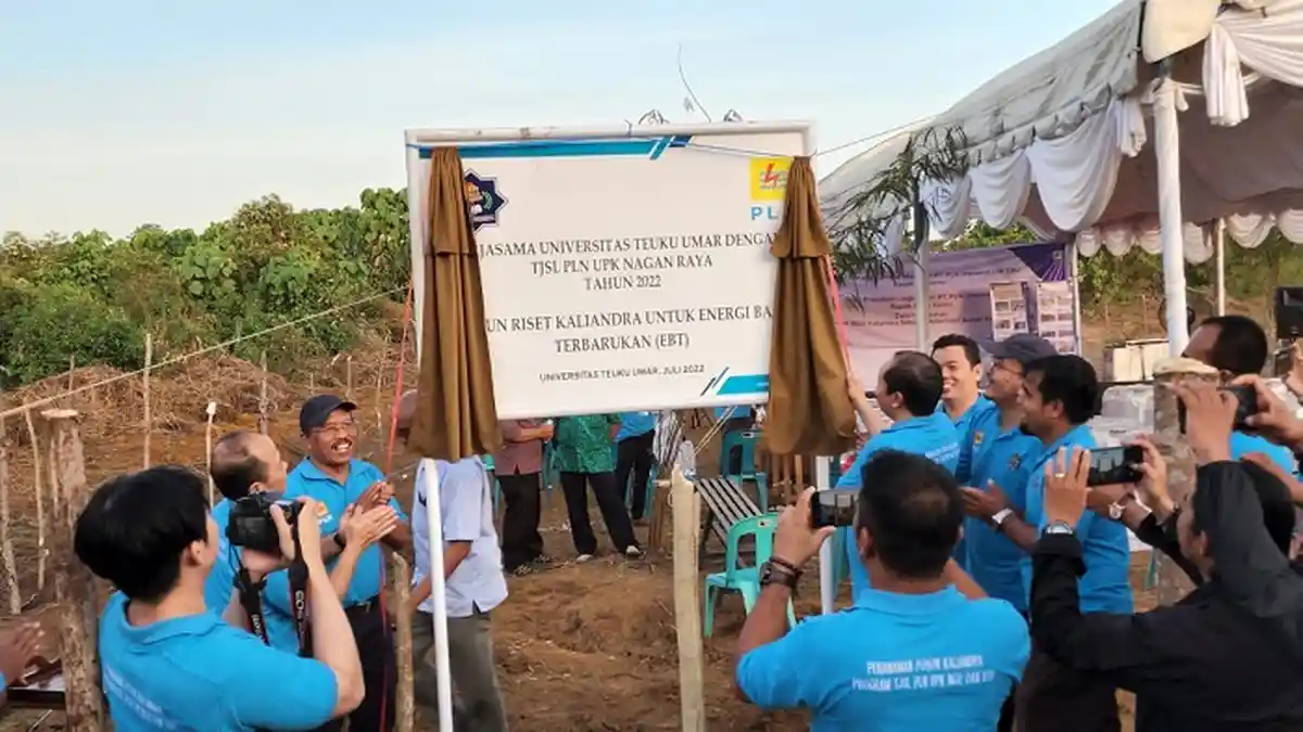 UTU Miliki Tempat Riset Kaliandra, Tanaman Sumber Energi Baru Terbarukan