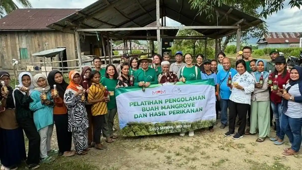 Komit Lestarikan Lingkungan, MPMX Tanam 30.000 Bibit Mangrove di Manggarai Barat