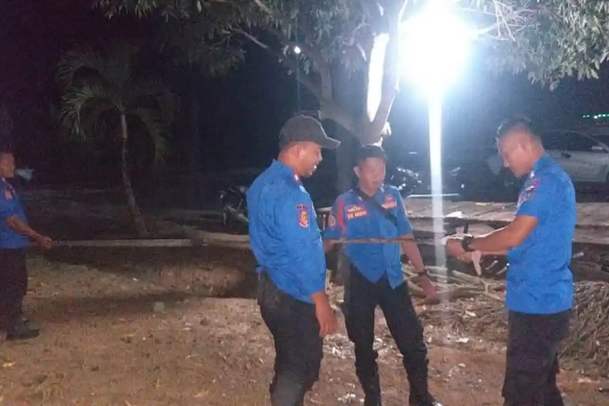 Damkarmat Mesuji Evakuasi Sarang Tawon Vespa di Desa Simpang Mesuji