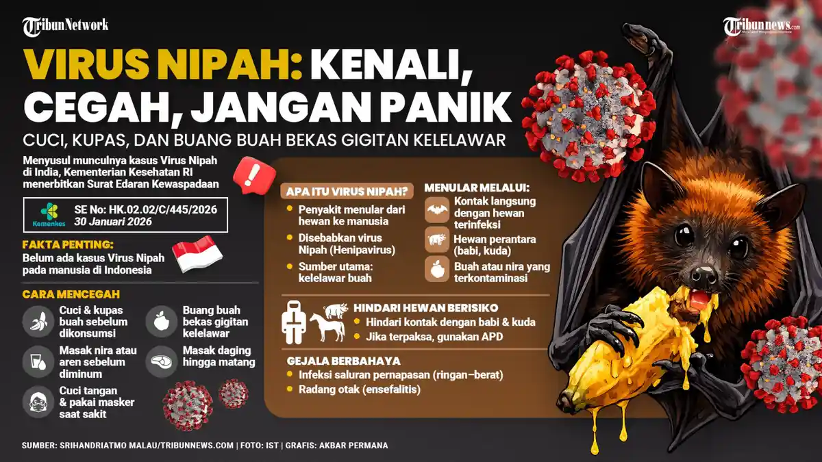 Waspada Virus Nipah, Pakar UGM Jelaskan Pola Penularan dan Langkah Pencegahan