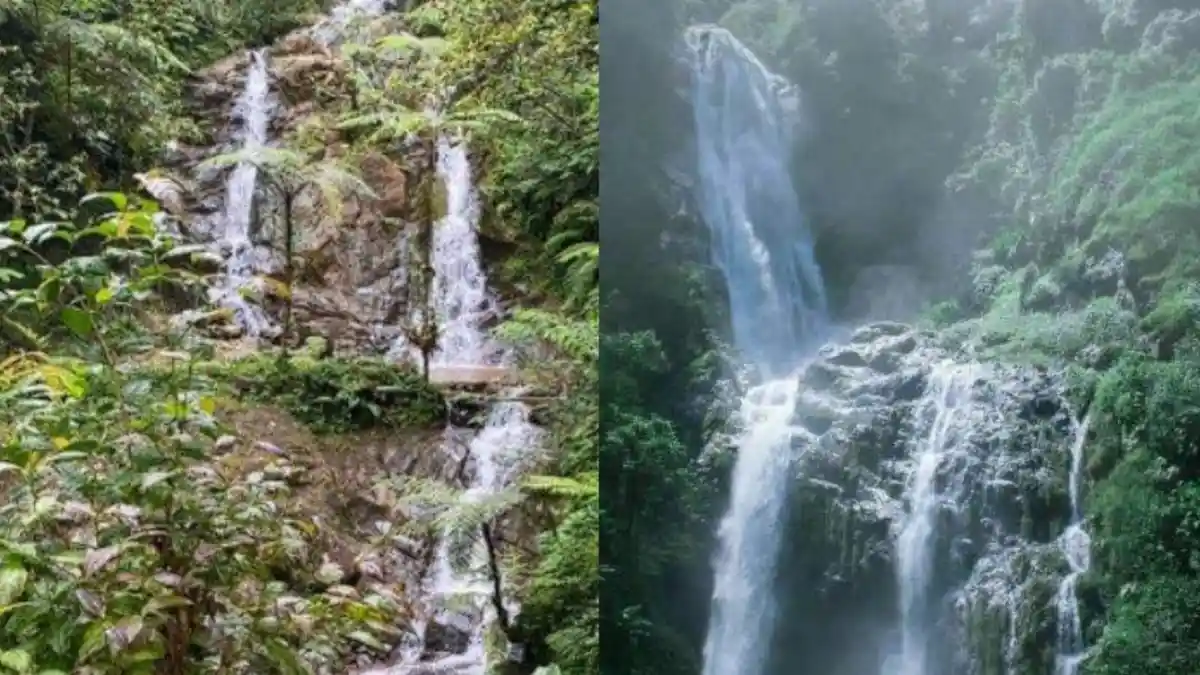 5 Wisata Curug di Bogor yang Lokasinya Tersembunyi, Jarang Terjamah Manusia dengan HTM Terjangkau