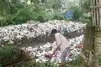 Sampah 30 Meter Sumbat Aliran Irigasi di Tirtayasa, DLH Serang dan Camat Turun Tangan