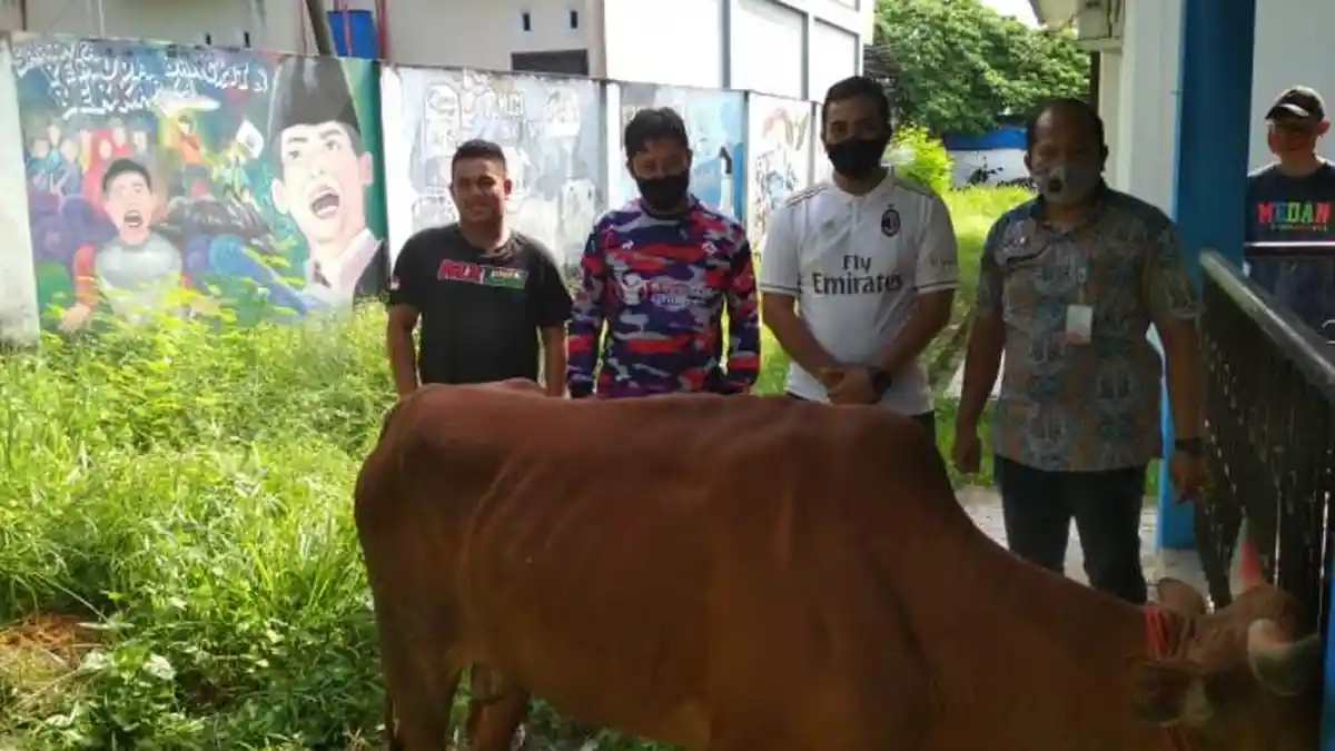 Sambut Idul Adha, DPD KNPI Bangka Potong Sapi untuk Dibagikan kepada Para Pengurus