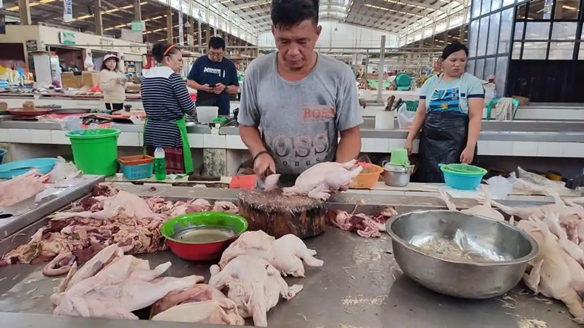Harga Daging Ayam Kembali Naik di Pasar Segar Manado Sulawesi Utara