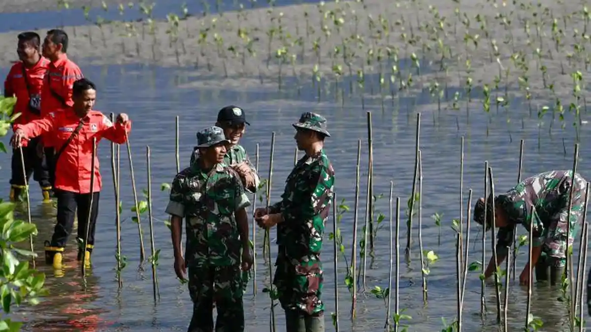 FOTO BNPB Tanam 2.600 Bibit Mangrove di Kuala Cangkoi Ulee Lheue Banda Aceh - Tanam-Manggrove-Bulan-PRB_09.jpg