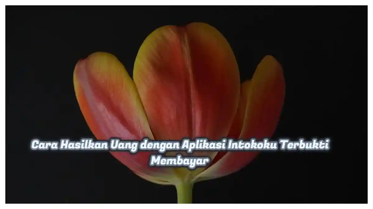 Cara Hasilkan Uang dengan Aplikasi Intokoku Terbukti Membayar, Cukup Instal dan Klik Link Disini